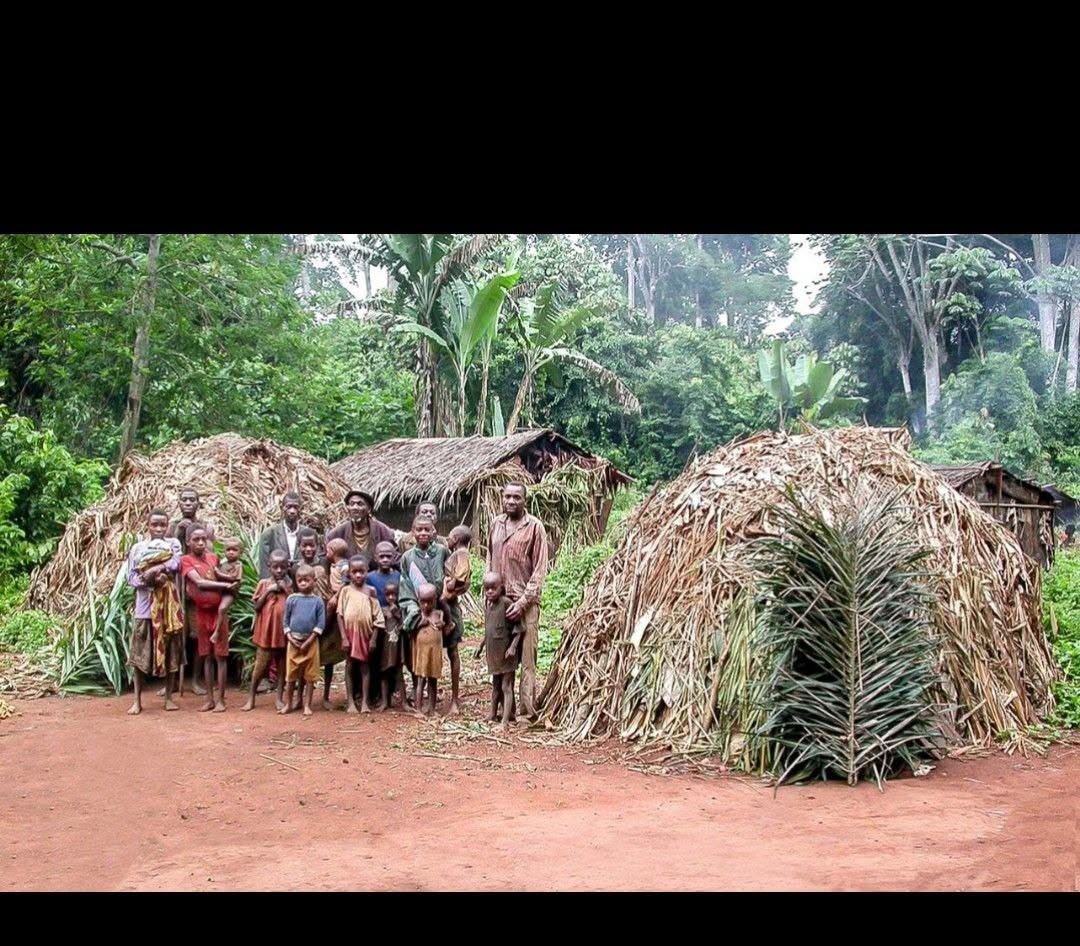 Conservation de la forêt par les peuples autochtones